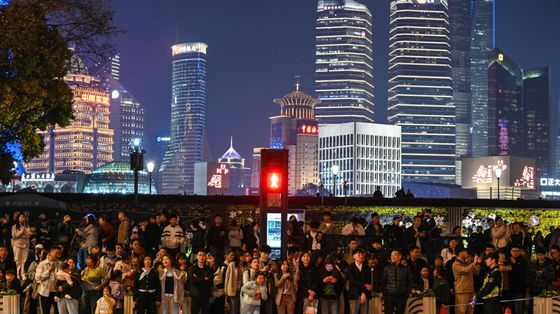 «In Cina il supermarket della maternità surrogata»