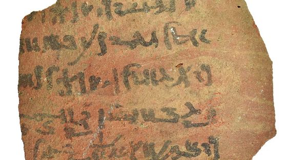 Liste della spesa e quaderni di scuola: scoperti 13 000 nuovi testi degli antichi Egizi