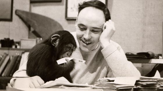Addio a Desmond Morris. Con "La scimmia nuda" riportò l’uomo dentro lo zoo