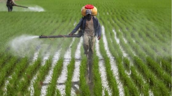 Su fertilizzanti ed emissioni di CO2 abbiamo un pasticcio chiamato Cbam