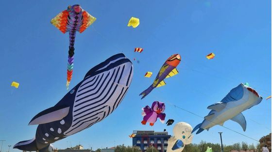 Arte in volo, da Cervia a Fano il cielo si colora di aquiloni