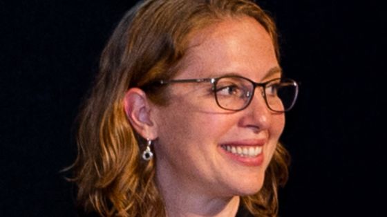 «I minerali critici sottratti alle rinnovabili per fare la guerra»