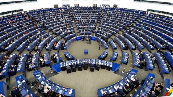 Stupro, il parlamento Ue chiede una legge che tenga conto del consenso