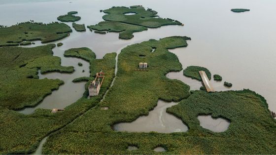 Il Delta del Po affoga: ecco le voci di chi prova a resistere