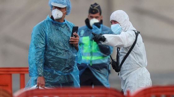 Sorveglianza e controlli: sull'hantavirus l'Italia alza la guardia