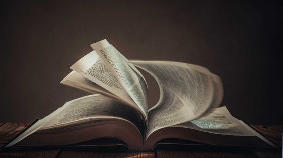 «Teologia dell'evangelizzazione, una disciplina nuova»