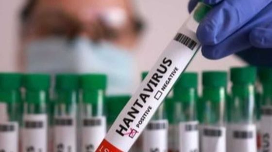 Hantavirus, ecco le misure per prevenire la diffusione