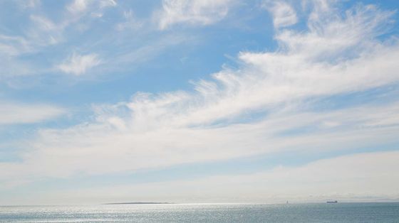 Una lettera d’amore all’umanità