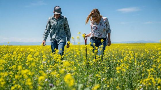 Un contratto per il lavoro dignitoso e per il dovuto protagonismo dei lavoratori agricoli