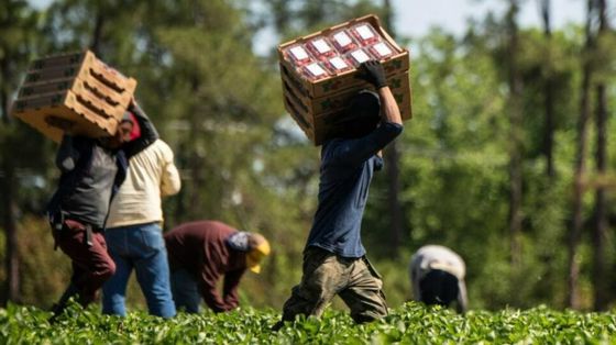 Operai, braccianti, rider:
la corsa delle Regioni a tutelare i lavoratori dal caldo estremo (di maggio)