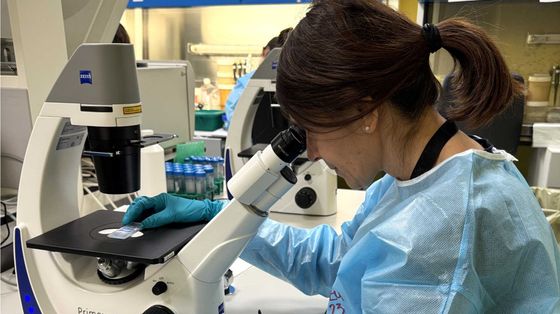 A 5 anni dal vaccino, il 92% dei pazienti con melanoma è vivo