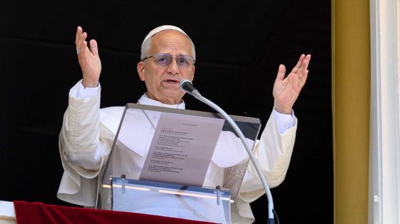 Il Papa all'Angelus di ieri, 31 maggio 2026 / VATICAN MEDIA