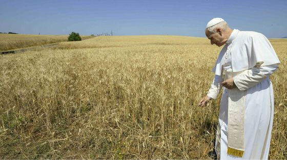 Leone XIV accelera sulla svolta verde del Vaticano: nasce la Fondazione “Fratello Sole”