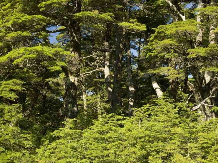 Nel tempo della ragnatela