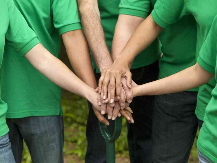La riforma del Terzo settore in Senato