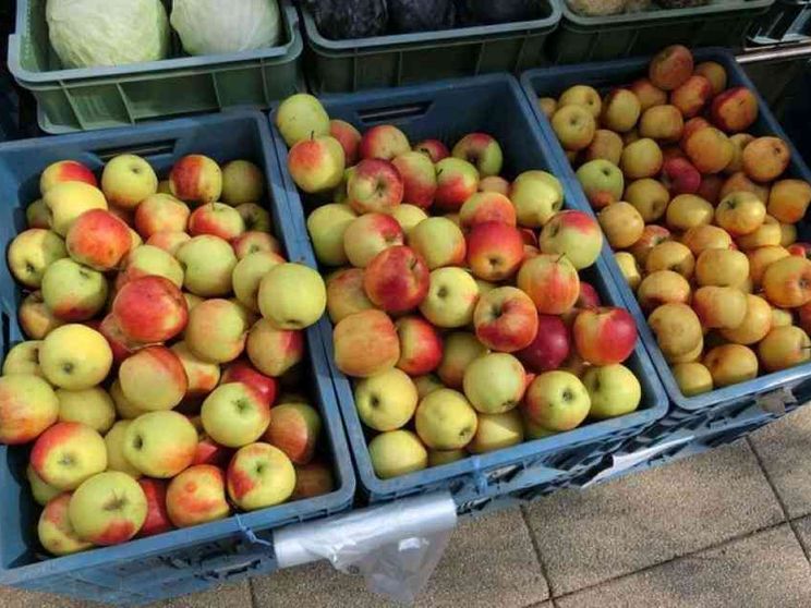 ZeroPerCento: la bottega solidale per disoccupati 