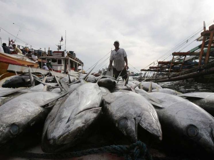 Thailandia, pescatori e ambiente sfruttati