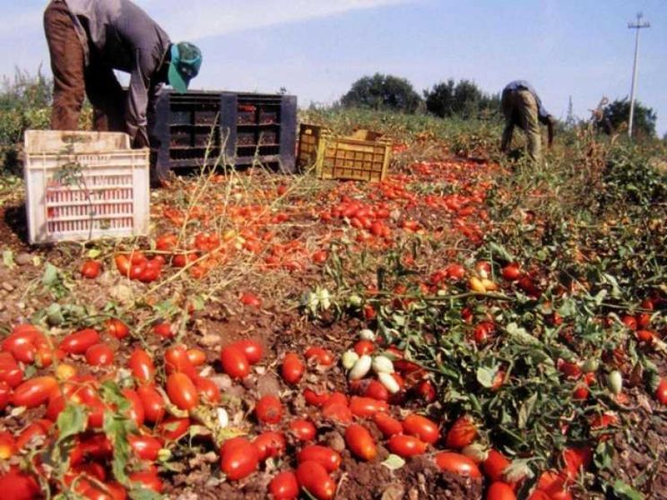 Imprese nella «sfida» dei diritti umani