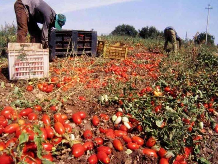 Imprese nella «sfida» dei diritti umani