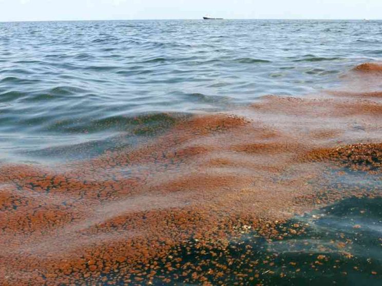 Depuratori, fogne e discariche Il conto salato delle Regioni