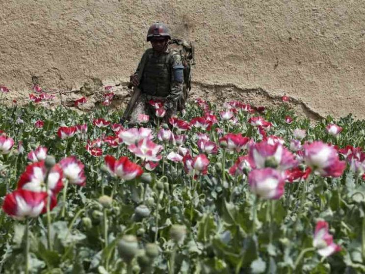 Così le guerre fanno crescere il consumo di droga