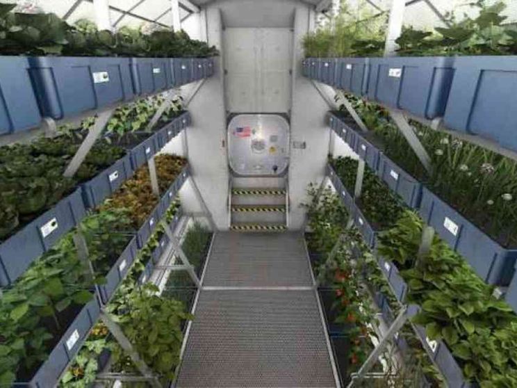 E le astronavi avranno l’orto