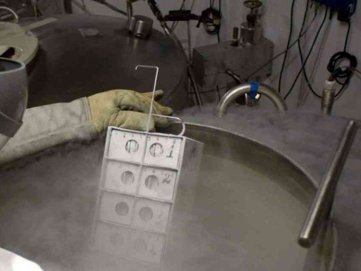 Caso Antinori e quei sei embrioni sequestrati