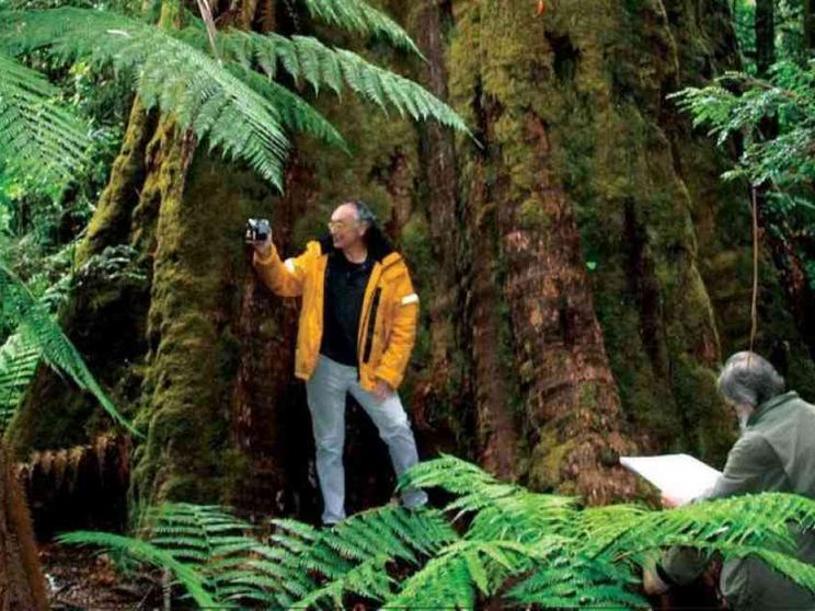 Darwin,ritorno alle Galápagos