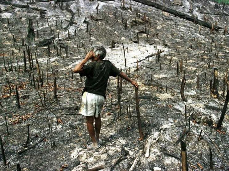 Ambiente, 1.746 guerre «invisibili»