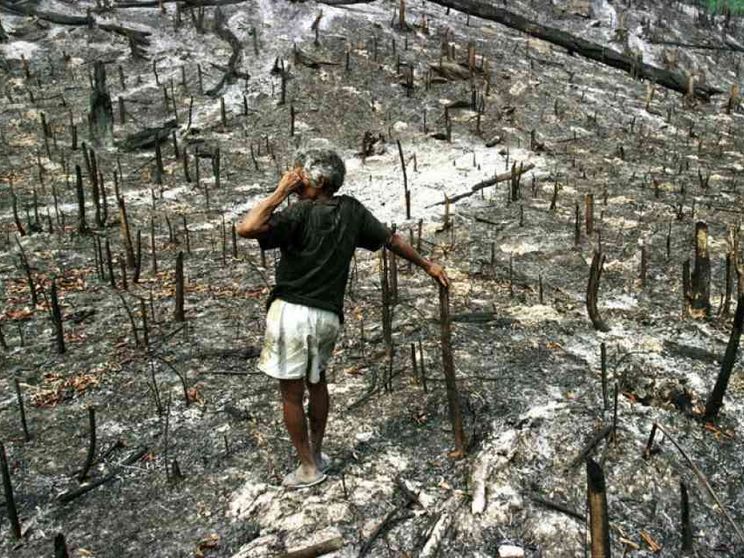 Ambiente, 1.746 guerre «invisibili»