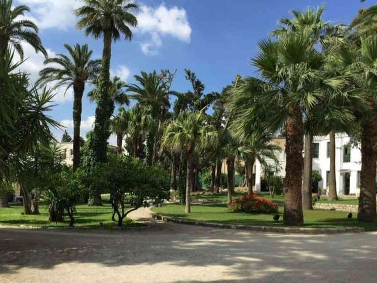 Contro il terrorismo, i giusti parlano arabo