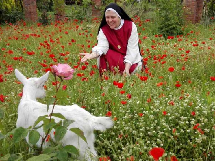 Sull'altare quella luce che dà un senso della vita buono