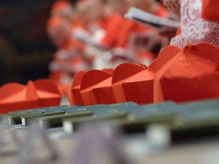 I nuovi cardinali al servizio, in tutta la Terra