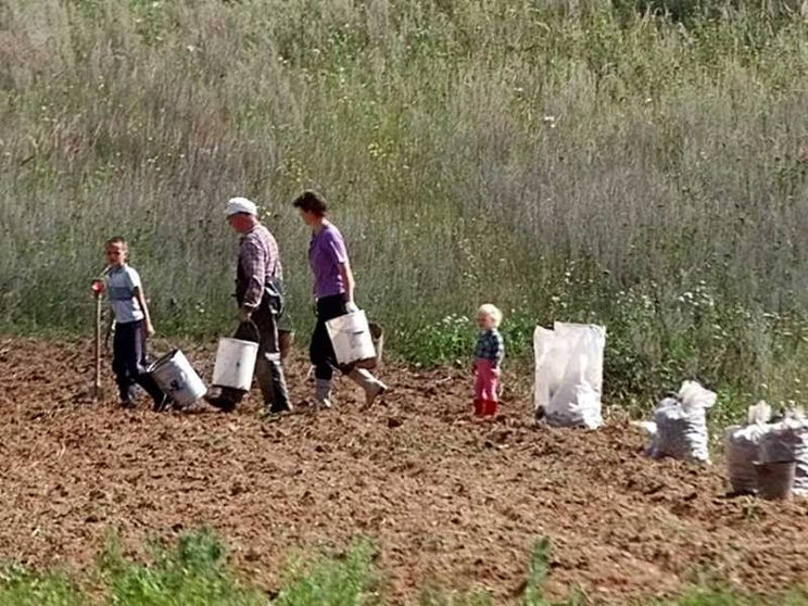 Coltivare bene la terra, responsabilità di tutti