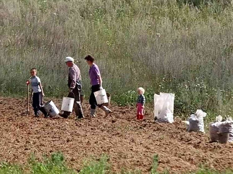 Coltivare bene la terra, responsabilità di tutti