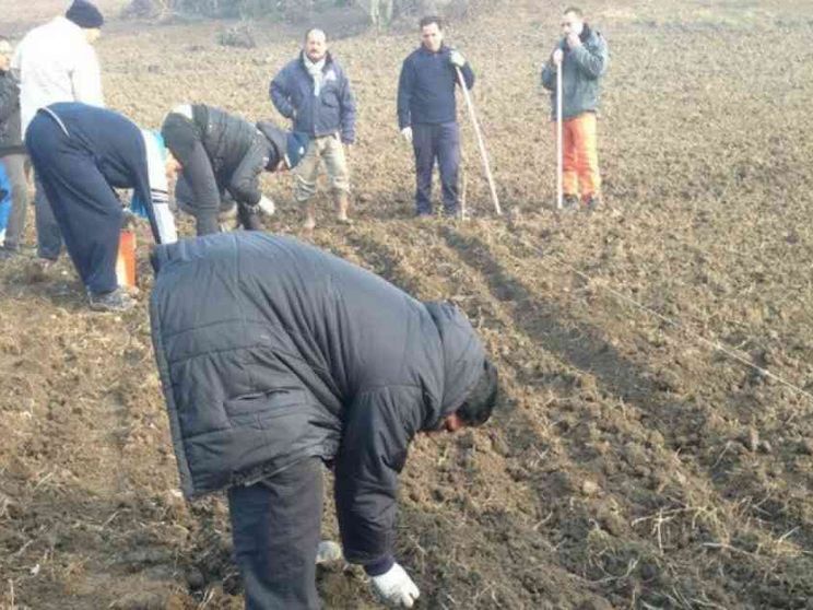 Permesso di soggiorno più facile per chi lavora in agricoltura e turismo