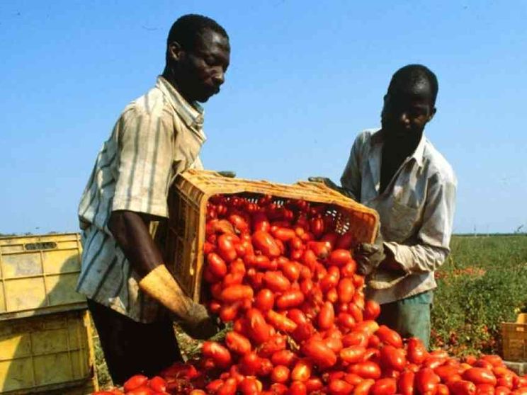 Permesso di soggiorno e lavoratori immigrati