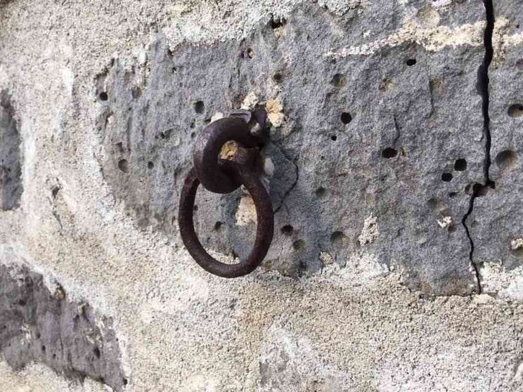 «Che commozione il ritorno alle mie origini»