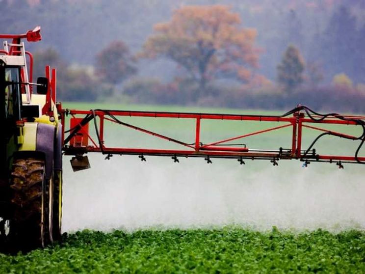Bando Isi Agricoltura, prorogati i termini di scadenza