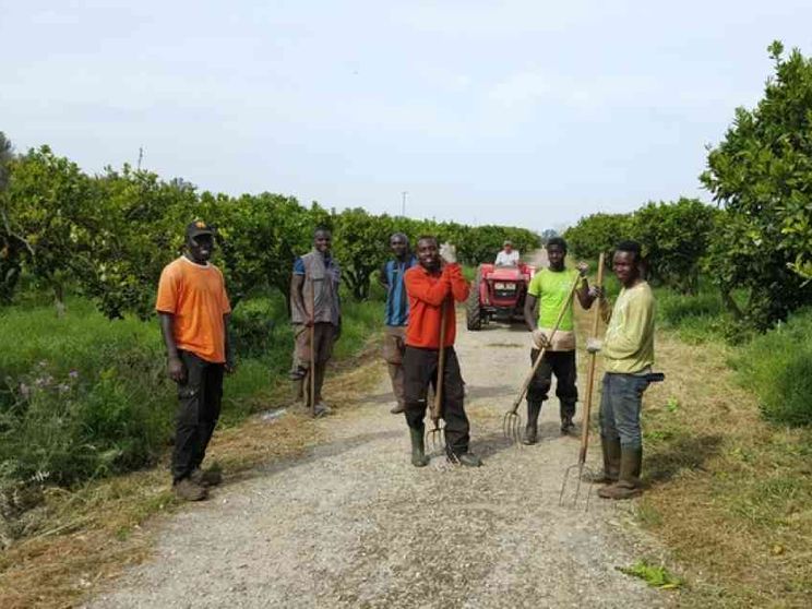 Profughi, lavoro con i voucher
