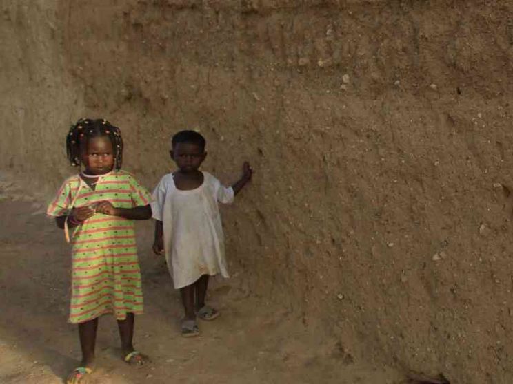 Traffico di organi, un velo da alzare