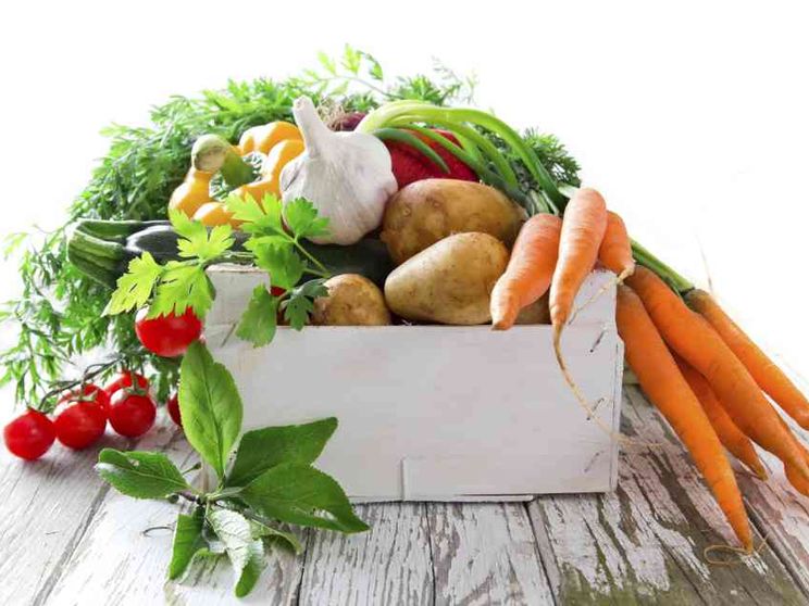 L'App per unire i Gruppi d'acquisto solidale