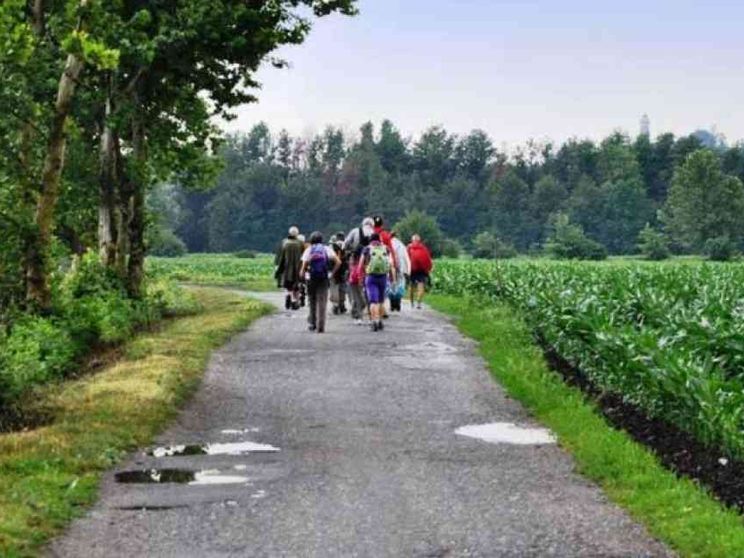 Con il Papa (a piedi) lungo il Cammino di sant'Agostino
