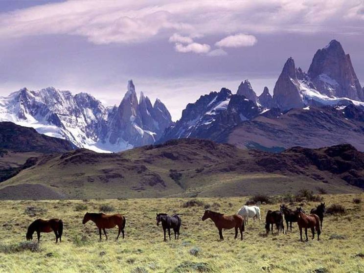 Regala migliaia di ettari di terra per creare un parco naturale in Patagonia