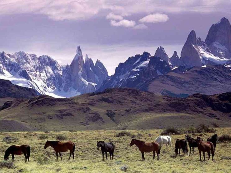 Regala migliaia di ettari di terra per creare un parco naturale in Patagonia