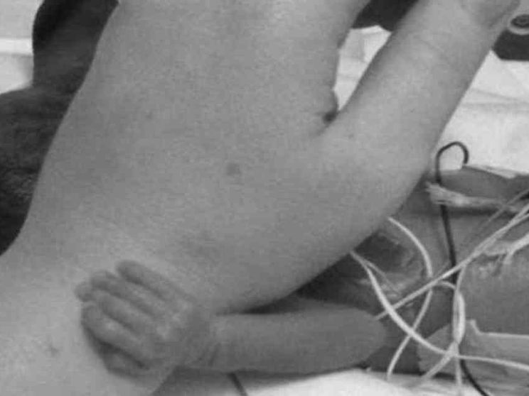 Guardiamo queste mani e capiamo la vita