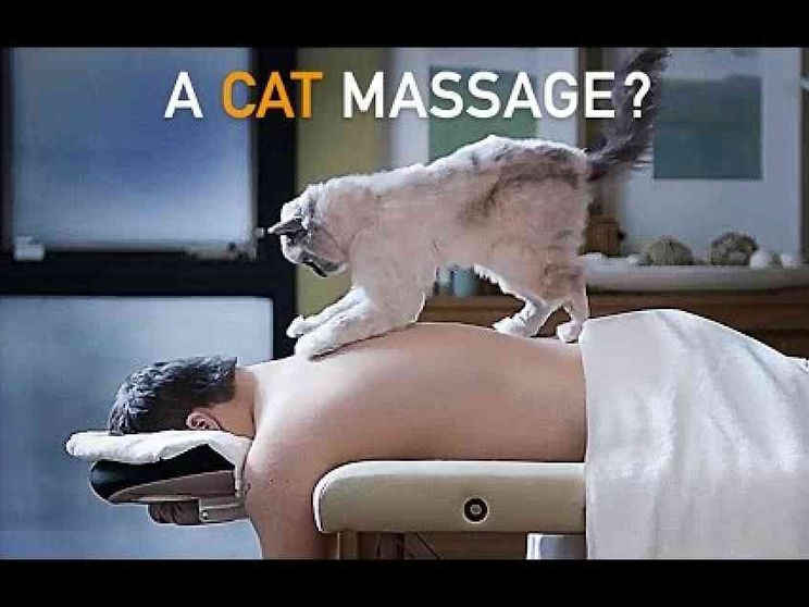 La sfida dell'inclusione: lavoro, istruzione... ecco cosa serve