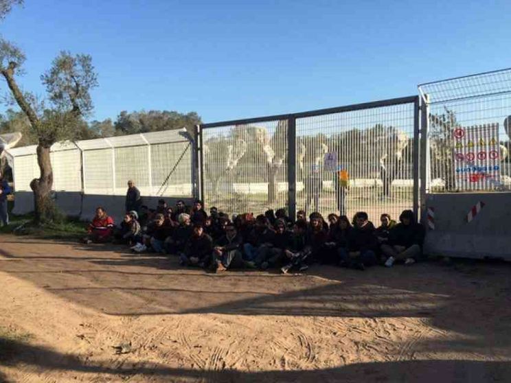 Ulivi espiantati, ancora scontri tra polizia e manifestanti