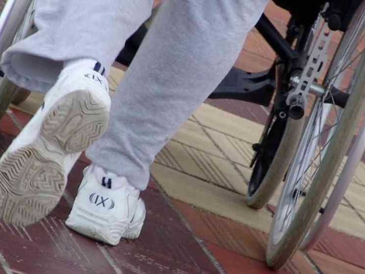 Il governo: «Dopo di noi, la legge è già operativa»