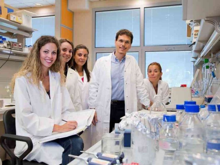 Scoperto uno dei meccanismi all'origine dell'Alzheimer